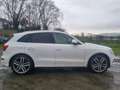 Audi SQ5 3.0TDI quattro Tiptronic 313 Blanco - thumbnail 4