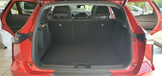 Mitsubishi Grandis view 13