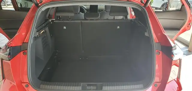 Mitsubishi Grandis view 14