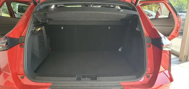 Mitsubishi Grandis view 10