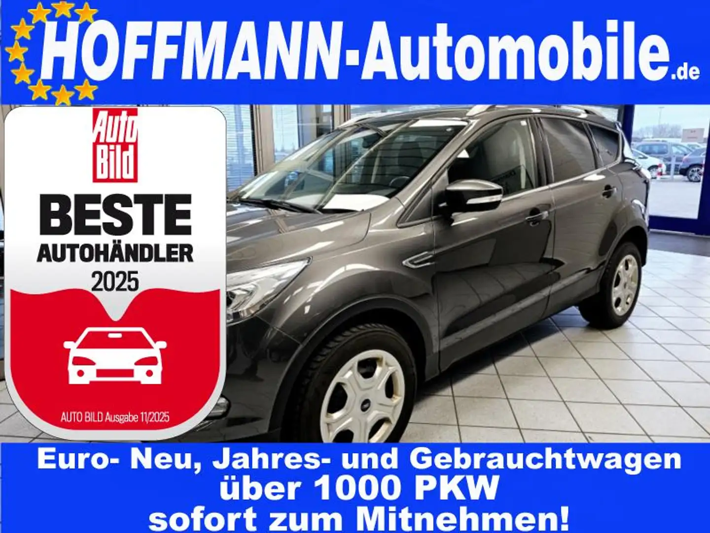 Ford Kuga Kamera,Navi,PDC,App-Connect Gris - 1
