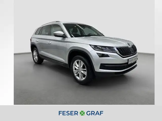 Skoda Kodiaq Style 2.0 TSI 4x4 Verkauf nur an Gewerbe
