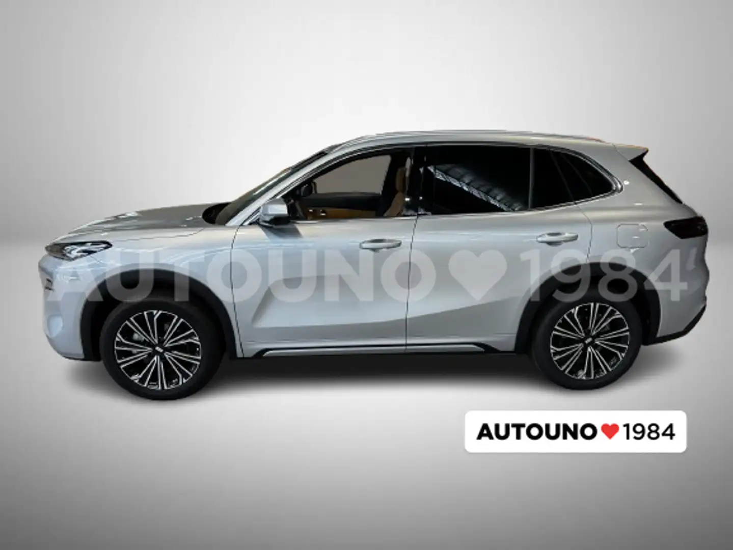 Geely Starray EM-i 1.5 phev Launch Edition Silber - 2