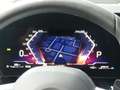 BMW X2 20d xDrive M Sport PRO Ad.LED°360°-ACC Pro JW Gris - thumbnail 17