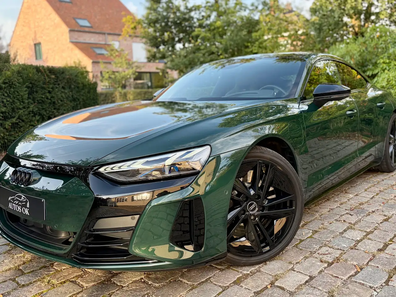 Audi RS e-tron GT