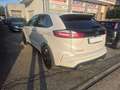 Ford Edge Edge 2019 2.0 ecoblue ST-Line s Bianco - thumbnail 5