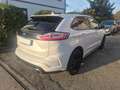 Ford Edge Edge 2019 2.0 ecoblue ST-Line s Bianco - thumbnail 6