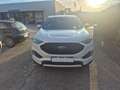 Ford Edge Edge 2019 2.0 ecoblue ST-Line s Bianco - thumbnail 1