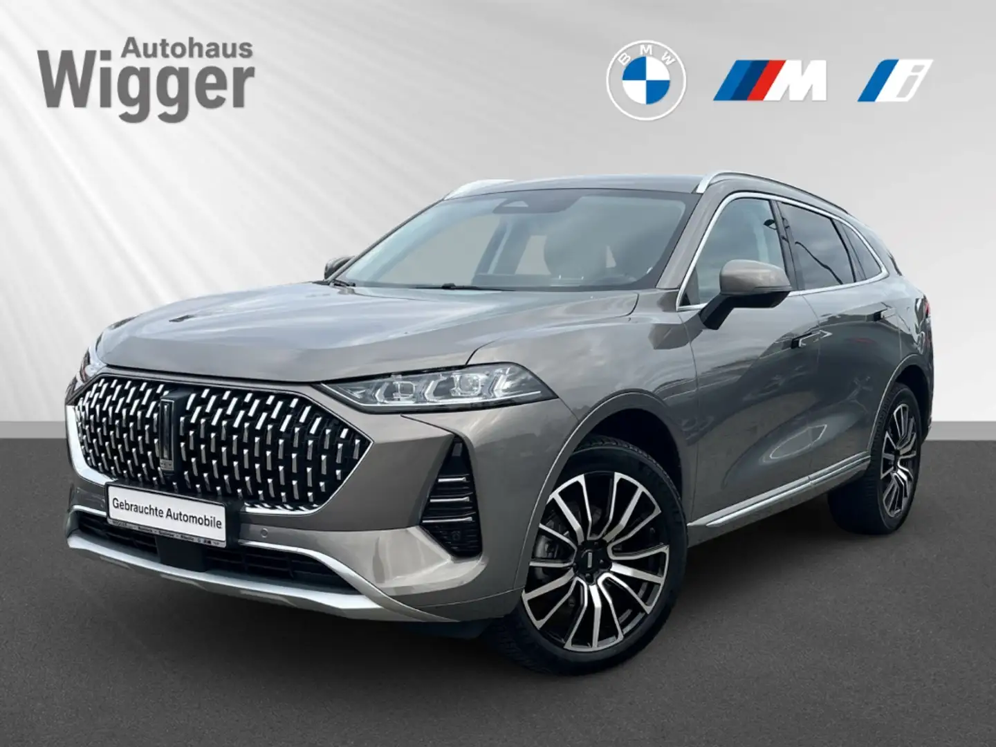 Wey Coffee 01 2.0 PHEV 350 kW AWD Premium Gris - 1