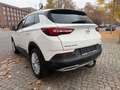 Opel Grandland Innovation Білий - thumbnail 13