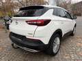 Opel Grandland Innovation Білий - thumbnail 7