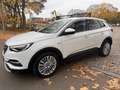 Opel Grandland Innovation Білий - thumbnail 11