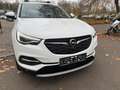 Opel Grandland Innovation Білий - thumbnail 3