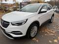 Opel Grandland Innovation Білий - thumbnail 14