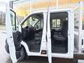Opel Movano Pick-Up DubCab *€27.900+ btw Blanc - thumbnail 3