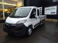 Opel Movano Pick-Up DubCab *€27.900+ btw Blanc - thumbnail 2
