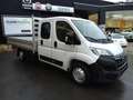 Opel Movano Pick-Up DubCab *€27.900+ btw Blanc - thumbnail 1