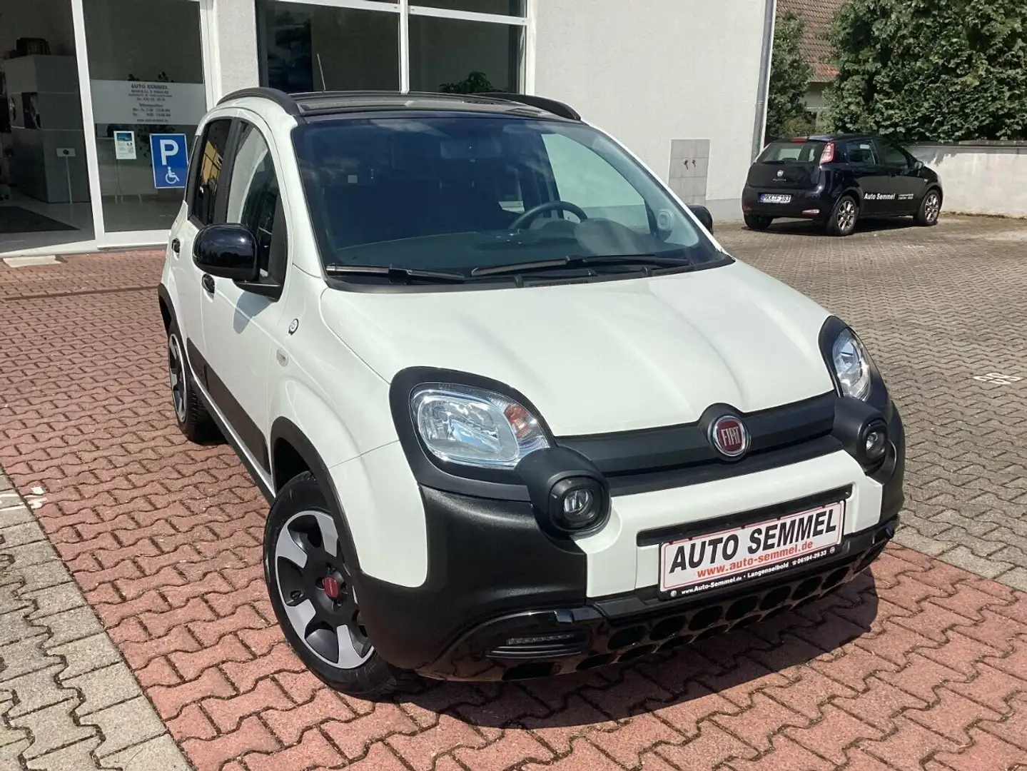 Fiat Panda 1.2 8V Cross WAZE Blanc - 2