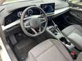 Volkswagen Golf VIII Lim. 1.5 TSI Life-LED-PDC-GARANTIE Blanc - thumbnail 12