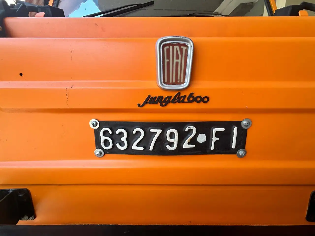 Fiat 600 Savio Jungla Spiaggina, foto 11