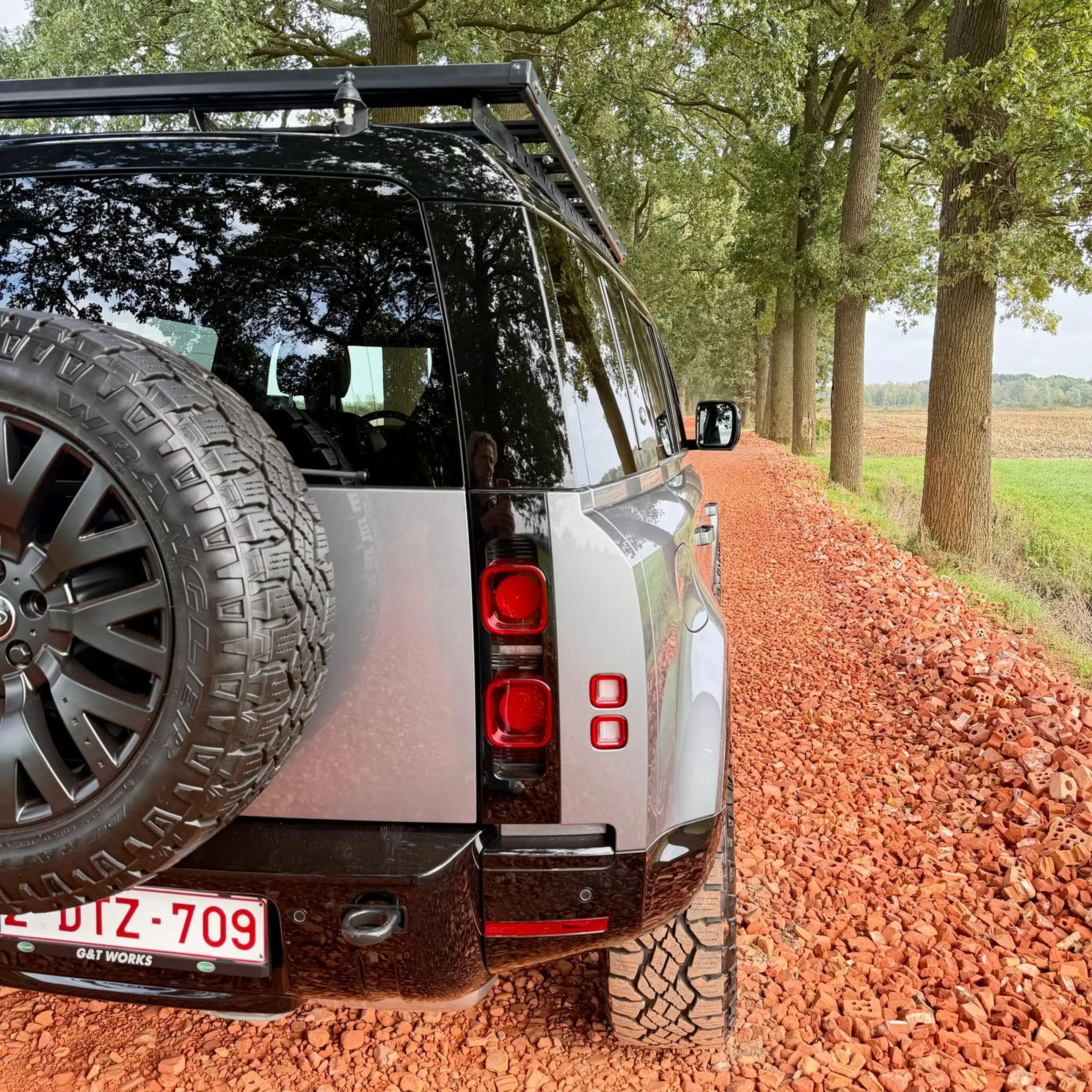Land Rover Defender Defender 110 3.0 D MHEV D250 Hard Top X-Dynamic SE — photo 4