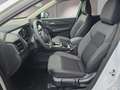 Nissan Qashqai 1.5 VC-T e-POWER Matrix/el.Klappe/ACC/Winterp. Bianco - thumbnail 10