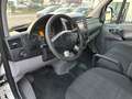 Mercedes-Benz Sprinter V6°519CDI°4X4/Klima/BiXen/PDC+Cam/Regal Weiß - thumbnail 21