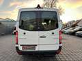 Mercedes-Benz Sprinter V6°519CDI°4X4/Klima/BiXen/PDC+Cam/Regal Weiß - thumbnail 39