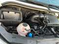 Mercedes-Benz Sprinter V6°519CDI°4X4/Klima/BiXen/PDC+Cam/Regal Weiß - thumbnail 30