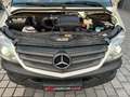 Mercedes-Benz Sprinter V6°519CDI°4X4/Klima/BiXen/PDC+Cam/Regal Weiß - thumbnail 28