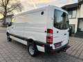 Mercedes-Benz Sprinter V6°519CDI°4X4/Klima/BiXen/PDC+Cam/Regal Weiß - thumbnail 5