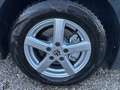 Volkswagen Golf VIII - Lenkradheizung - Digital tacho - 8Fach b... Grau - thumbnail 14