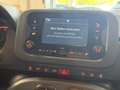 Fiat Panda Hybrid 1.0 51kw (70CV) Gris - thumbnail 14