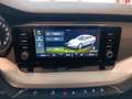 Skoda Octavia Ambition Grau - thumbnail 14