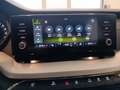 Skoda Octavia Ambition Grau - thumbnail 13