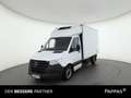 Mercedes-Benz Sprinter 314 CDI Koffer Kühlfzg Standard Weiß - thumbnail 1