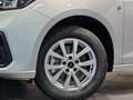 Ford Tourneo Connect L2-Trend "AMF Rollstuhl-Umbau" Argintiu - thumbnail 3
