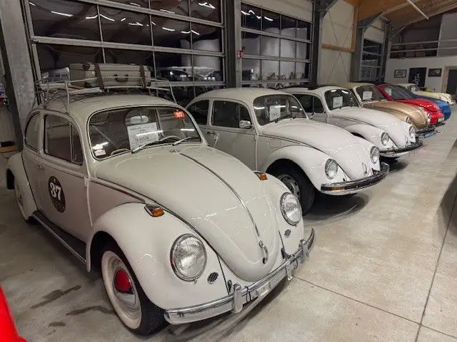 Volkswagen Käfer 1600i mit Faltdach und Orig. 77´km Top Zus