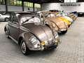 Volkswagen Käfer Ovali Faltdach aus der Hermann Walter Sammlung Gris - thumbnail 2