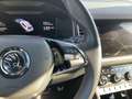 Skoda Kodiaq 4x4 RS 2.0 TSI Pano Navi DigiCock Memory Sitze LED Schwarz - thumbnail 23