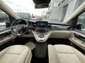 Mercedes-Benz V 250 V 250 d 4MATIC AVANTGARDE EDITION Lang NAVI+KLIMA Blanc - thumbnail 9