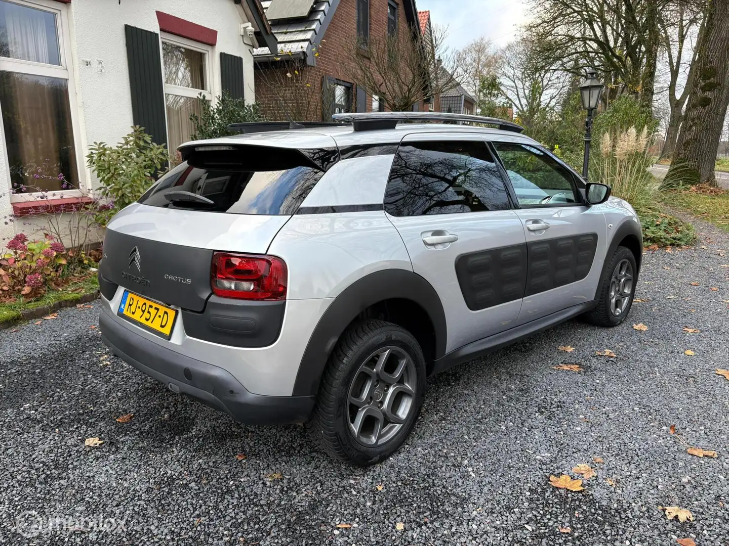Citroen C4 Cactus 1.2 PureTech Shine | NAVI | ALLSEASON | Grau - 2