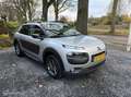 Citroen C4 Cactus 1.2 PureTech Shine | NAVI | ALLSEASON | Grijs - thumbnail 29