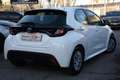 Toyota Yaris 1.5 Hybrid 5 porte Business *MY 21* Blanc - thumbnail 3