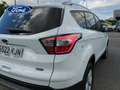 Ford Kuga 2.0TDCi Auto S&S Titanium 4x2 150 Weiß - thumbnail 9