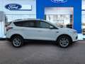 Ford Kuga 2.0TDCi Auto S&S Titanium 4x2 150 Blanco - thumbnail 4