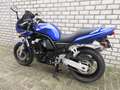 Yamaha FZS 600 Blau - thumbnail 5