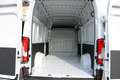 Fiat Ducato Ducato Maxi L4H3 180 Automatik ACC Park vorne h... Weiß - thumbnail 9