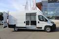 Fiat Ducato Ducato Maxi L4H3 180 Automatik ACC Park vorne h... Weiß - thumbnail 12