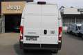 Fiat Ducato Ducato Maxi L4H3 180 Automatik ACC Park vorne h... Weiß - thumbnail 6